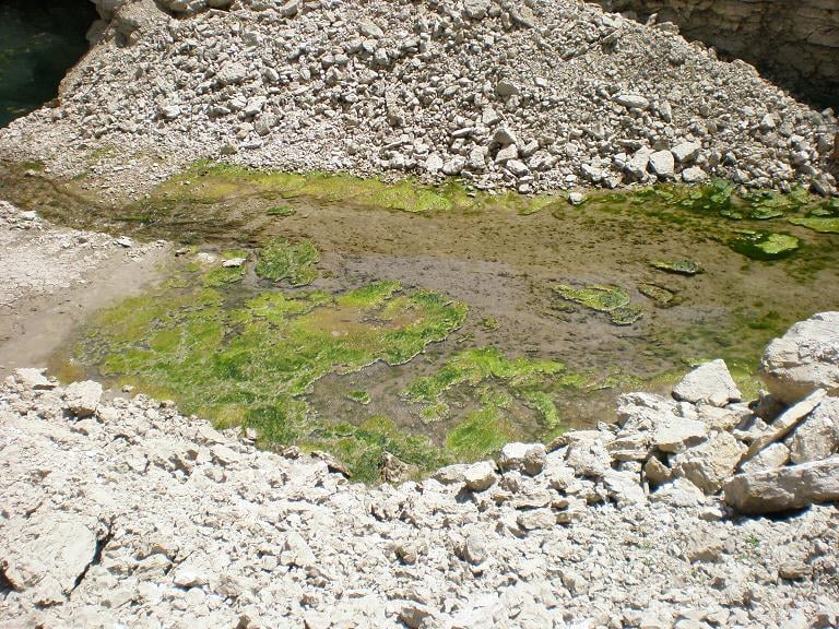 Remediation Cost Estimates What’s SWAG Got to Do With It?